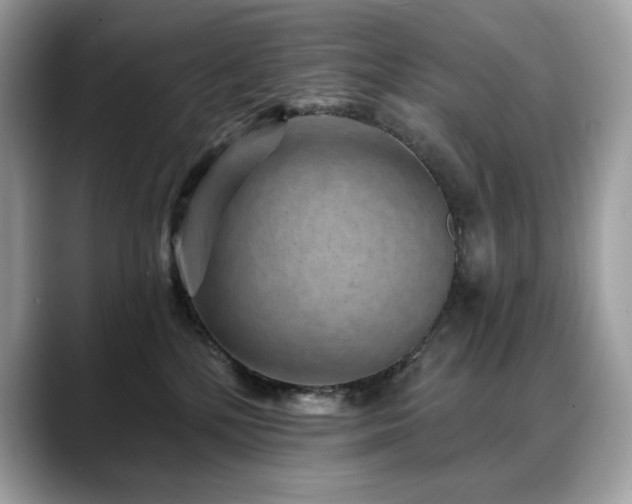 X0000088730232200705311435