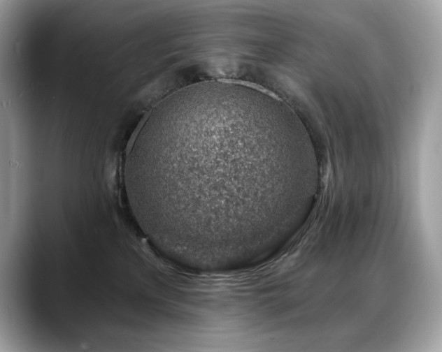 X0000088730233200705311435
