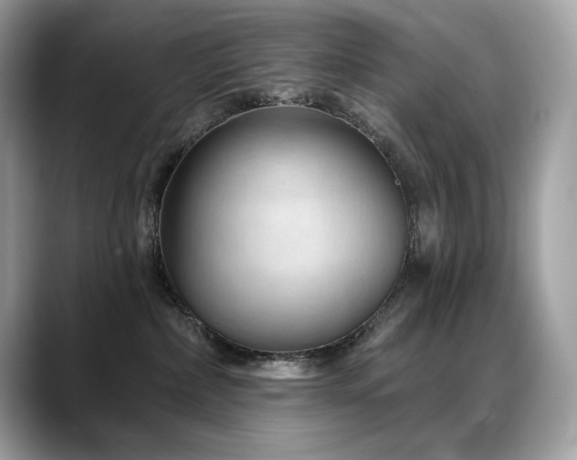 X0000088730236200705311435