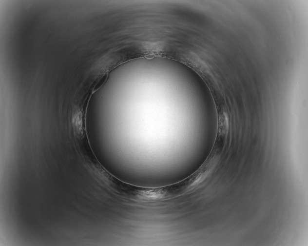 X0000088730238200705311435