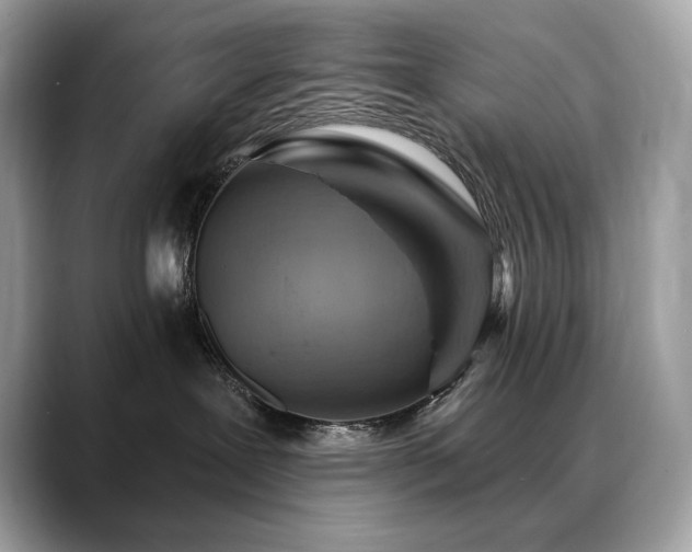 X0000088730239200705311435