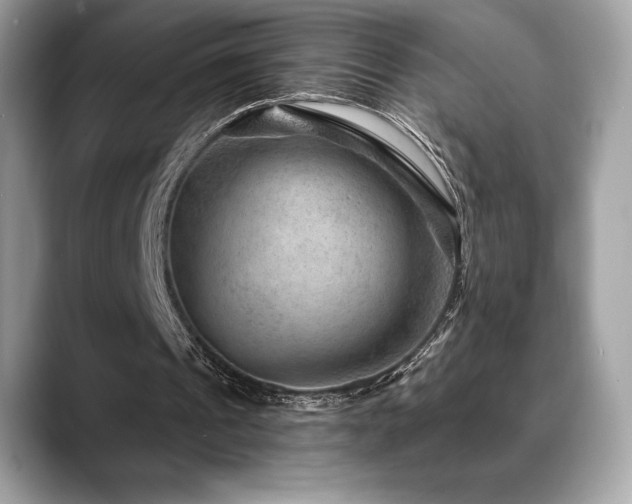 X0000088730241200705311434