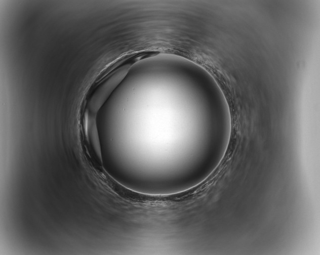 X0000088730242200705311434
