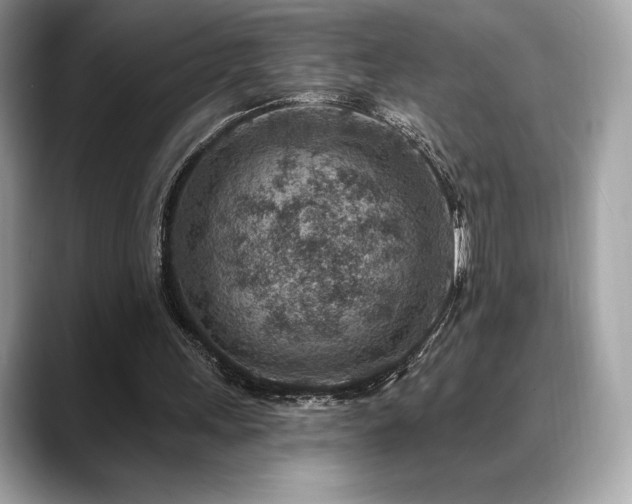 X0000088730243200705311434