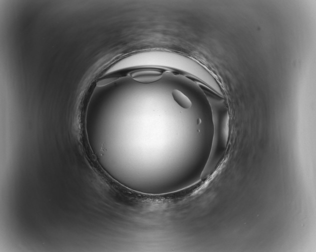 X0000088730245200705311434