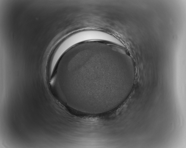 X0000088730247200705311434