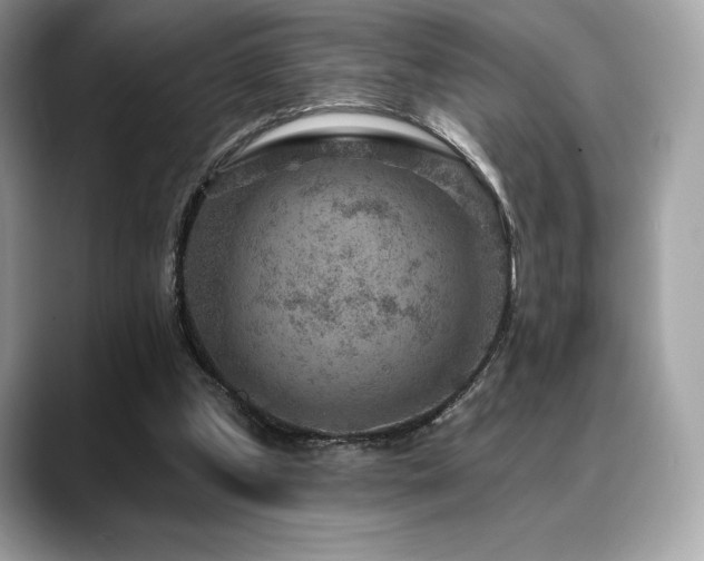 X0000088730249200705311434