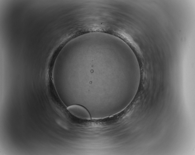 X0000088730250200705311434