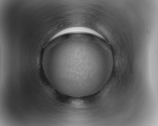 X0000088730258200705311434