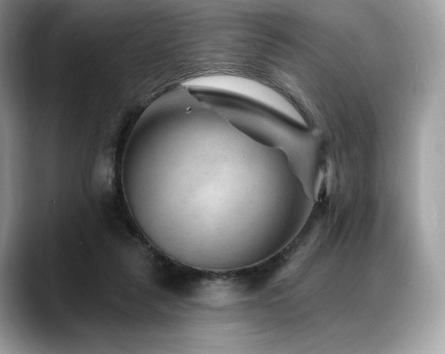 X0000088730259200705311434