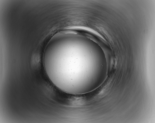 X0000088730260200705311434