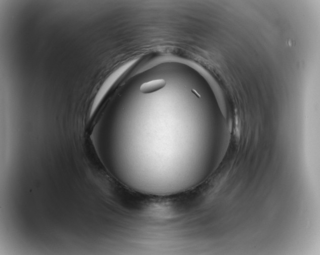 X0000088730263200705311434