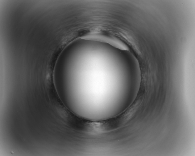 X0000088730265200705311434