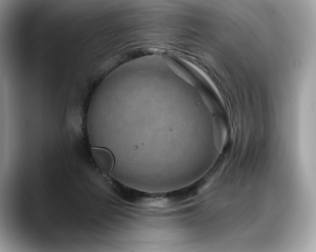 X0000088730266200705311434