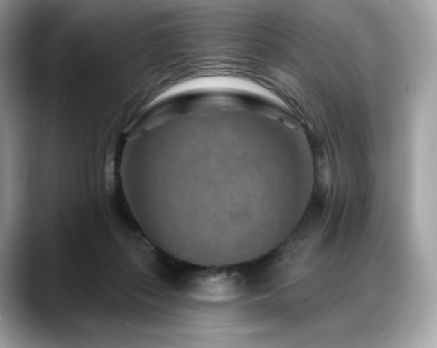 X0000088730267200705311434