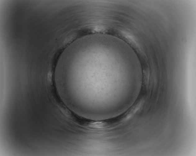 X0000088730269200705311434
