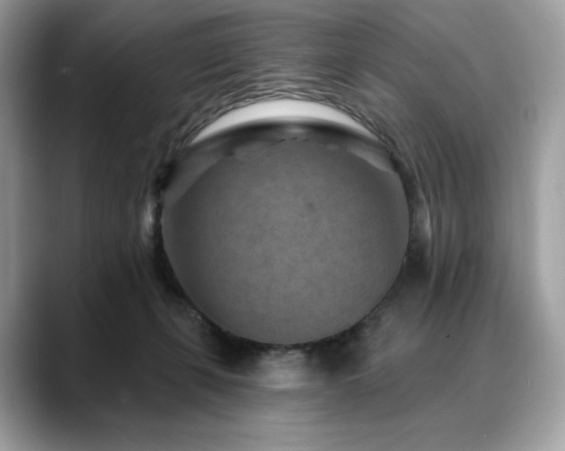 X0000088730271200705311434