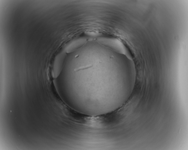 X0000088730273200705311434
