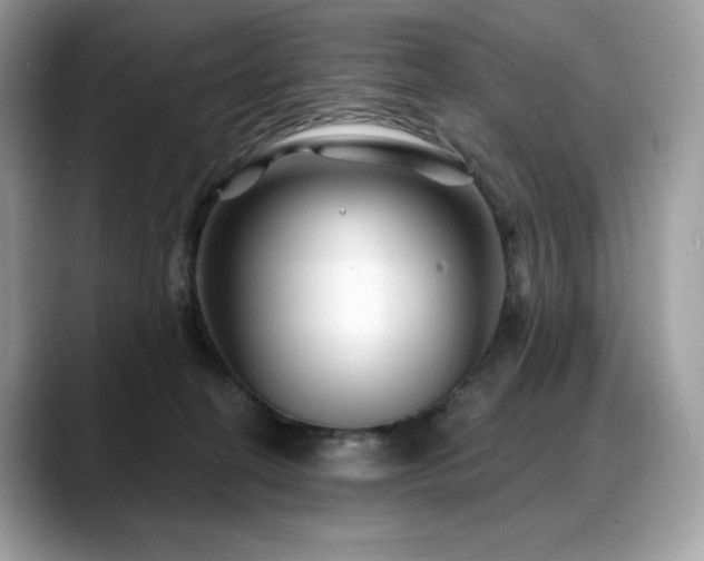 X0000088730274200705311434