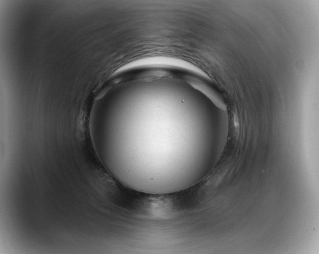 X0000088730275200705311434