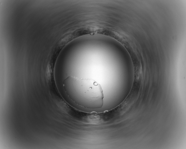X0000088730279200705311434
