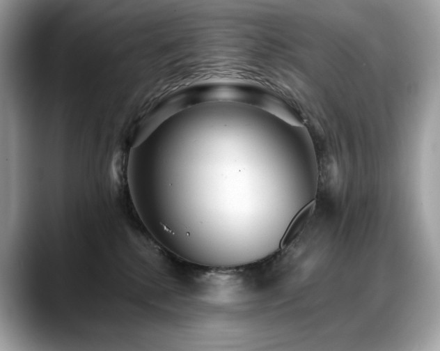 X0000088730280200705311434