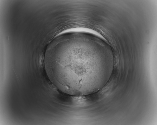 X0000088730281200705311435