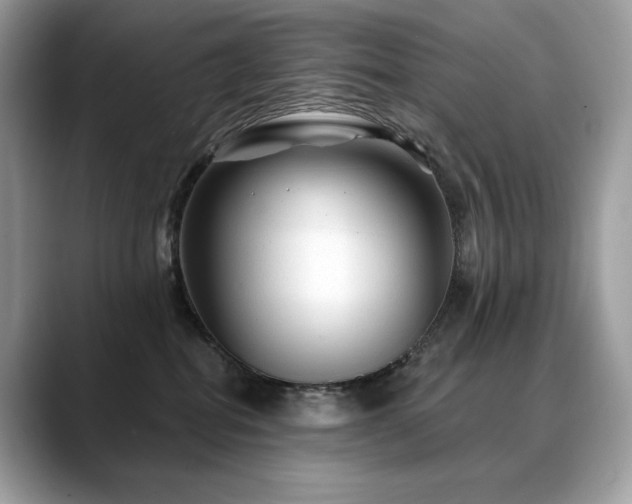 X0000088730282200705311435