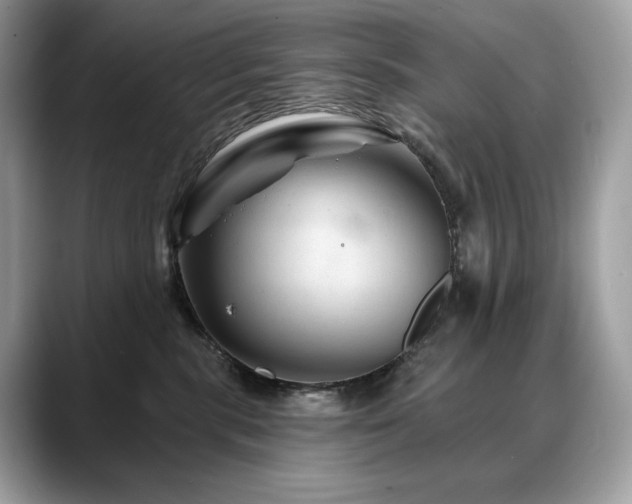 X0000088730283200705311435