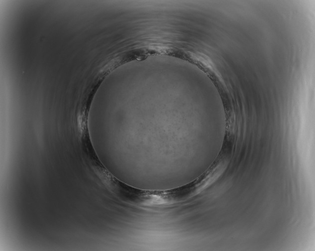 X0000088730285200705311435