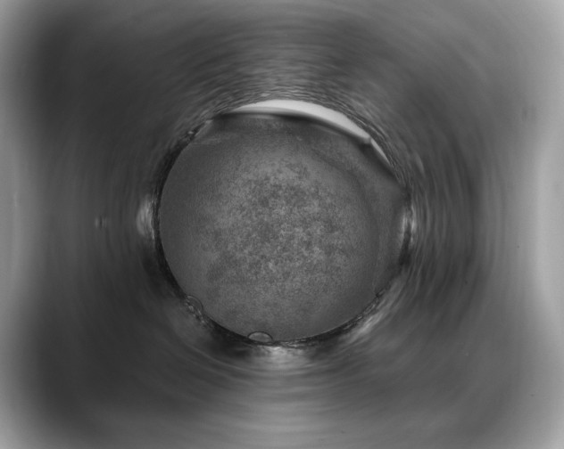 X0000088730286200705311435