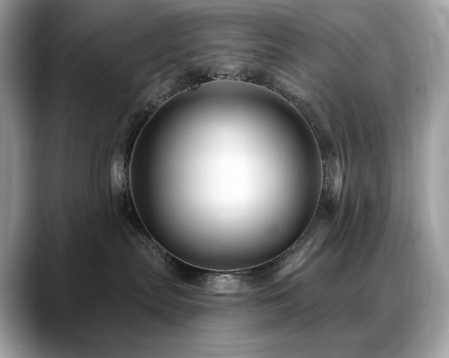 X0000088730287200705311435