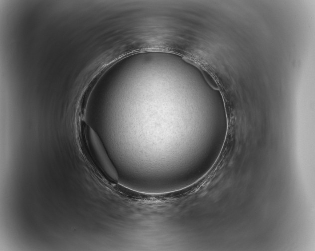 X0000088730290200705311434