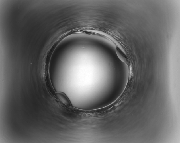 X0000088730291200705311434