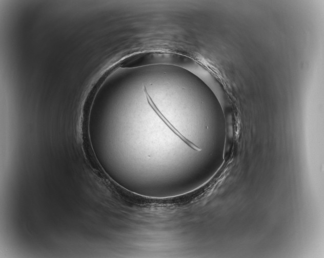 X0000088730292200705311434
