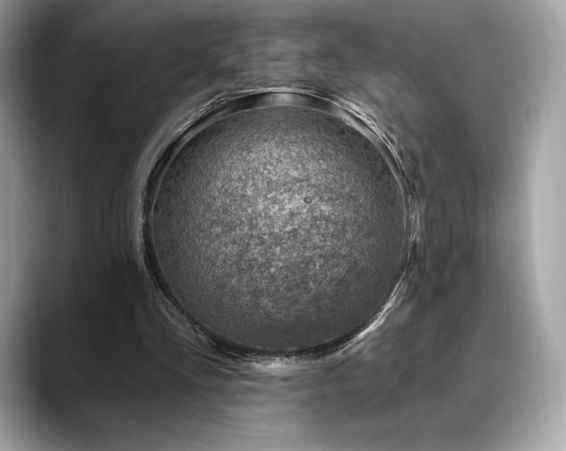 X0000088730293200705311434