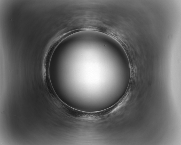 X0000088730294200705311434