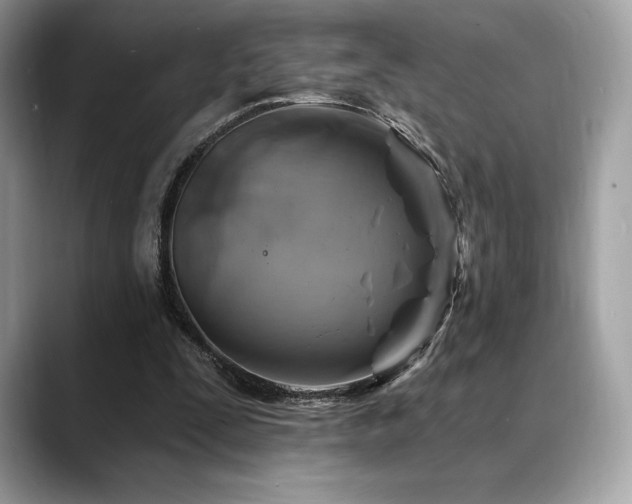 X0000088730295200705311434