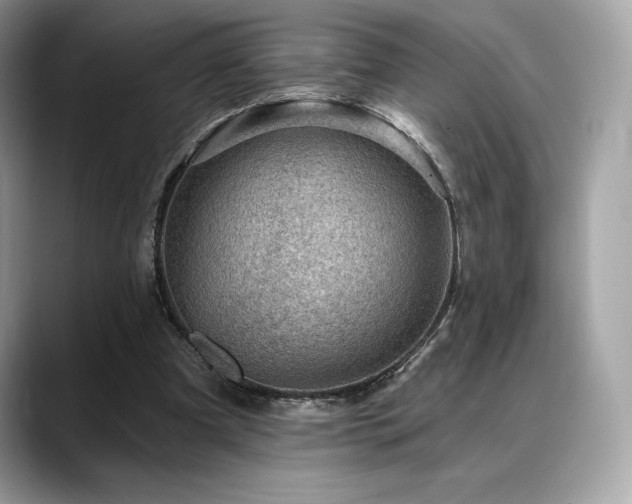 X0000088730297200705311434