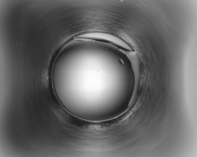 X0000088730298200705311434