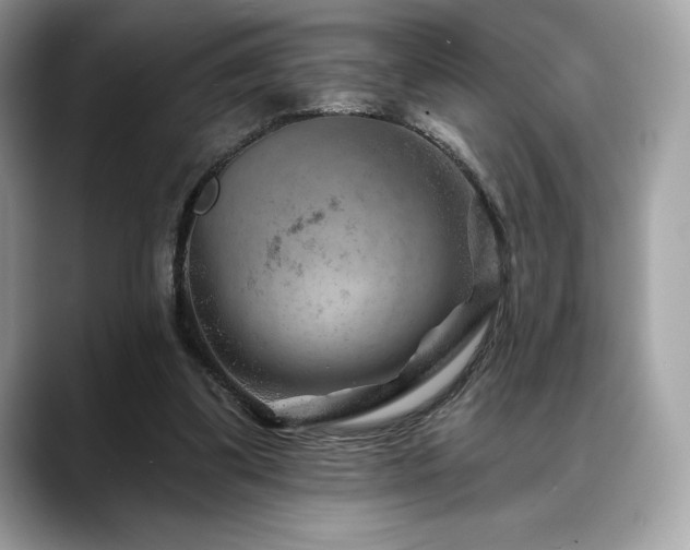 X0000088730299200705311434
