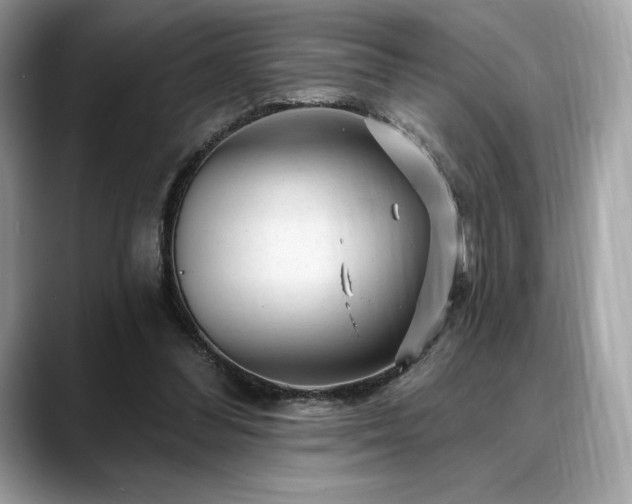 X0000088730300200705311434