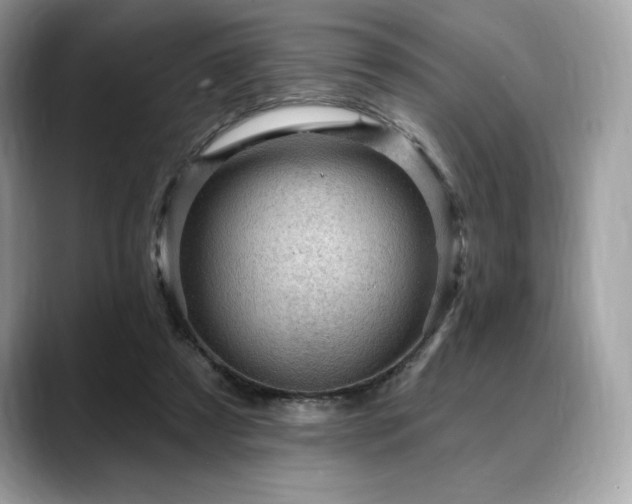 X0000088730305200705311434