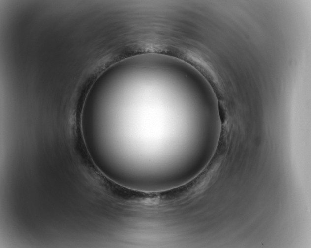 X0000088730306200705311434