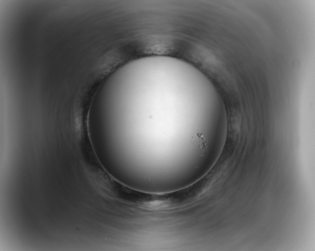 X0000088730312200705311434