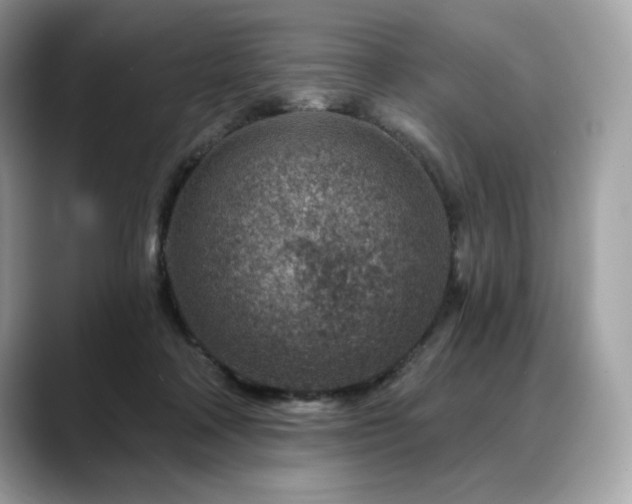 X0000088730314200705311434