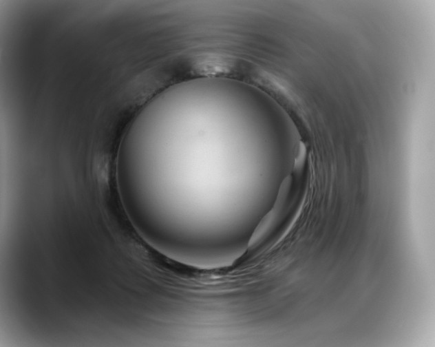 X0000088730315200705311434