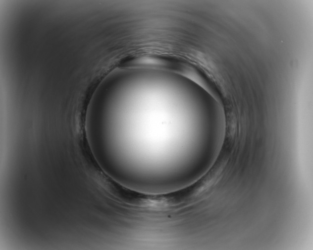 X0000088730317200705311434