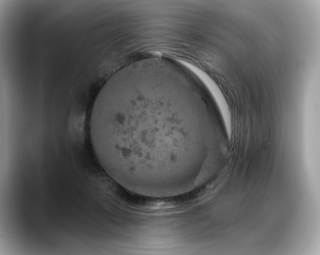 X0000088730319200705311434
