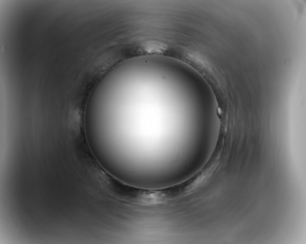 X0000088730321200705311434